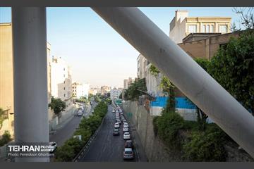 بی قانونی؛ تخلف جناغی 29
