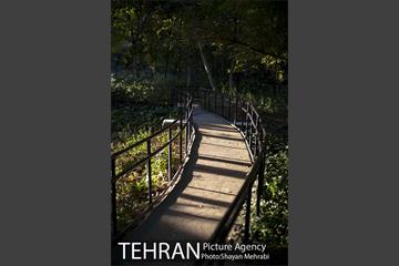 بوستان باغ ایرانی 21