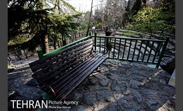 بوستان جمشیدیه (باغ سنگی جمشیدیه) 29