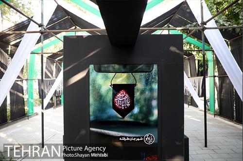 نمایشگاه عطر سیب 17