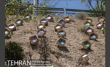 بوستان نهج البلاغه 14