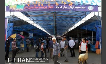 بازدید رییس شورای اسلامی شهر تهران و مدیر عامل سازمان میادین شهرداری تهران از مراکز عرضه بهداشتی دام 1