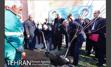 باز آفرینی باغ وثوق الدوله منطقه ۱۴ 15