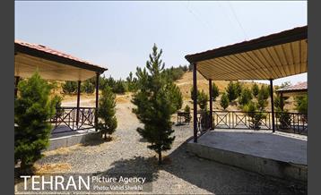 بوستان جنگلی یاس فاطمی 16