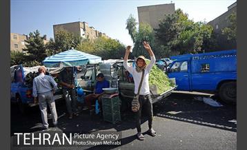 میوه فروشان خیابانی 16