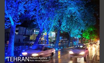 نورپردازی درختان بلوار میرداماد 3
