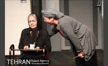 نمایش اثر پرتوهای گاما بر گل های همیشه بهار 14