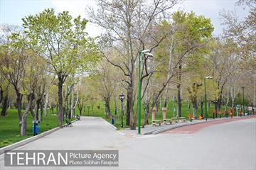 روز طبیعت متفاوت شهر تهران-1 19