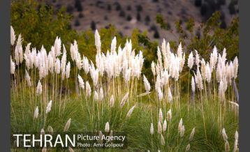 هوای پاییزی پایتخت 10