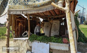 نخستین جشنواره سبزی در منطقه 18 22