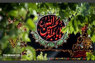 رخت عزا بر تن منطقه 5