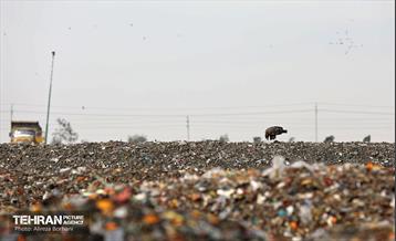 تور بازدید عکاسان از مجتمع آرادکوه 20