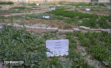 آیین افتتاح شهر دخت 4