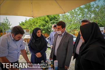 بازدید مهندس شاپور رستمی معاون هماهنگی و امور مناطق شهرداری تهران از پروژه های منطقه ۸ 8