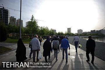 ششمین همایش پیاده روی خانوادگی بازنشستگان شهرداری تهران با حضور شهردار تهران 26