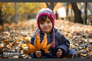 گذرگاه های پاییزی پایتخت - منطقه 14