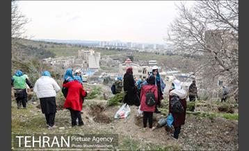 آیین غرس پنچ هزار اصله نهال در اراضی جنگل لویزان 25