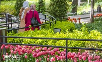 لاله های باغ ایرانی 26