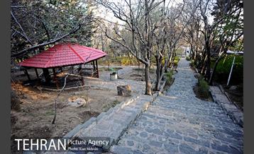 بوستان جمشیدیه (باغ سنگی جمشیدیه) 49