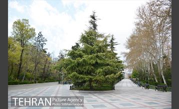 روز طبیعت متفاوت شهر تهران-1 10