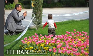 رویش گل های لاله در پارک شهر 29