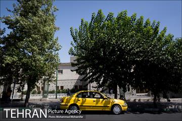 شهرنگار؛ خیابان ۱۶ آذر 9