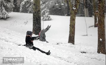 بارش برف در تهران 29
