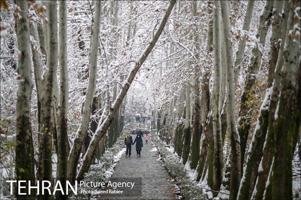 برف زمستانی پارک جمشیدیه 24