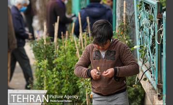 بازار گل و گیاه غرب تهران در آستانه نوروز 28