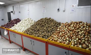 صد و سی و نهمین پویش امید و افتخار 24