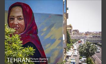 دیوارهای چشم نواز در منطقه 7