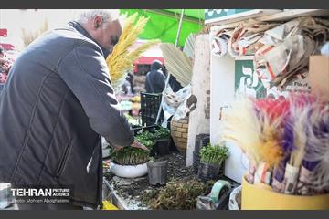 بازار گل شهید محلاتی در آخرین روزهاى سال 14