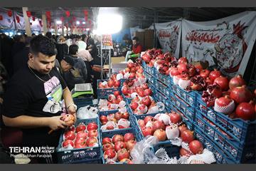 دوازدهمین جشنواره انار  11