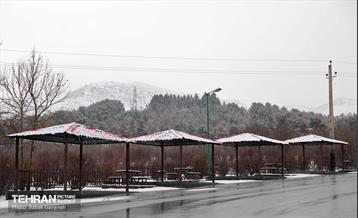 روز برفی در بوستان جنگلی سرخه‌حصار 21