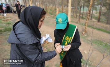 غرس 2000 نهال در بوستان جنگلی سرخه‌ حصار 12