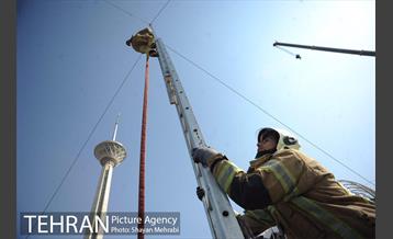 بازدید دکتر نجفی از مانور نیروهای آتش نشانی 29