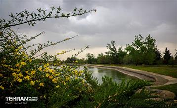 باغ گیاه‌شناسی 34