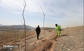 بهره‌برداری از فاز دوم طرح جنگلکاری کمربند سبز 20