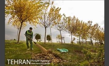 پاییز زیبای پایتخت- 2 6