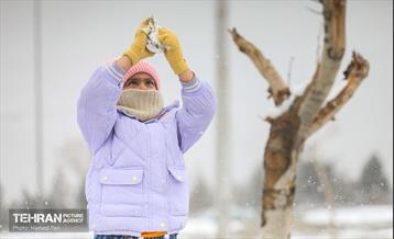 روز برفی در آبشار تهران 9