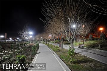 شهردار شب غلامحسین محمدی 55