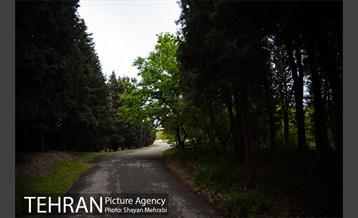 باغ گیاه‌شناسی ملی ایران 18