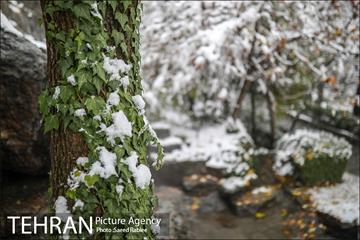 برف زمستانی پارک جمشیدیه 21