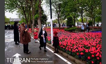 جشنواره لاله‌ها در بوستان زندگی محله هرندی 15