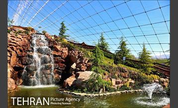 فصل بهار در بوستان های منطقه 4 8