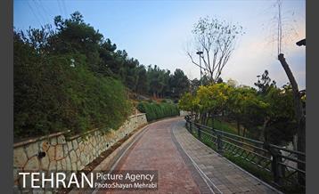 بوستان نهج البلاغه (فاز2) 34