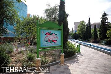 بوستان باغ حکیم 12