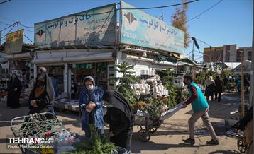 بازار گل محلاتی  35