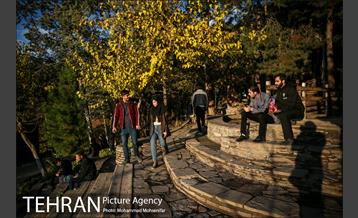 هوای پاک تهران 8