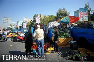میوه فروشان خیابانی 6